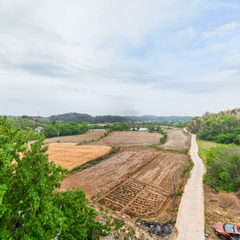 老余小院